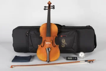 Violin: How it came to be