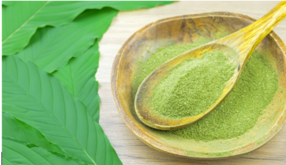 How to Evaluate Kratom Vendors: A Comprehensive Guide